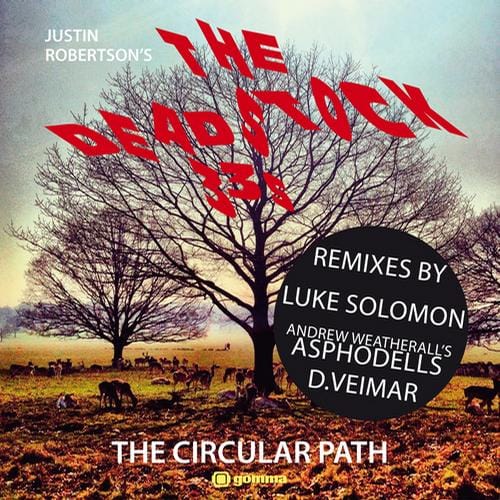 The Deadstock 33s - The Circular Path [Gomma GOMMA194] (2013-11-01)