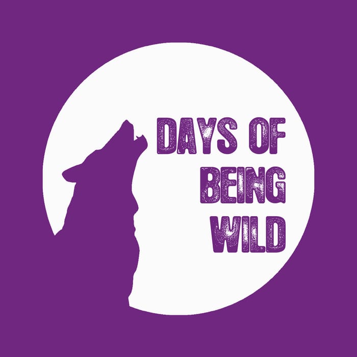 Catalepsia - Quartz Giapponese EP [Days Of Being Wild WILD027] (4 April, 2014)