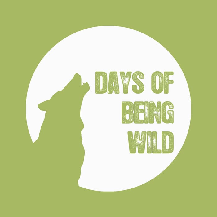 Club Bizarre - Bogota/Bazzanbasel [Days Of Being Wild WILD028] (Apr 21, 2014)