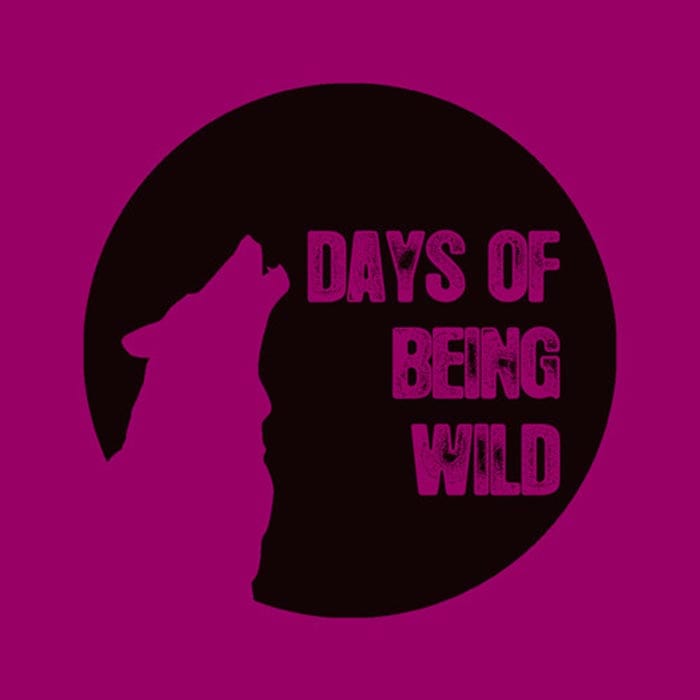 id!r - Heart Made Of Stone EP [Days OF Being Wild WILD030] (26 May 2014)