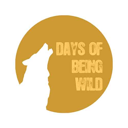 ATTS - Victory [Days Of Being Wild WILD 035] (22 November, 2014)