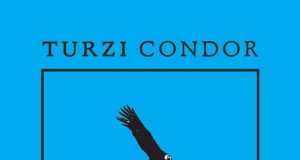 Turzi - Condor - EP [Record Makers 66338] (16 February, 2015)