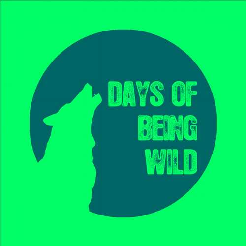 Lokier - Voyage of Troubles / The Train Loop EP [Days Of Being Wild] (2015)