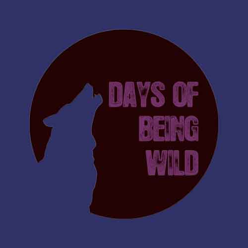 daWad - Catharsis EP [Days Of Being Wild WILD 041] (11 January, 2016)