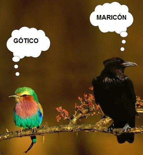 Angry Birds