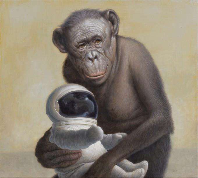Monkeys and Stereos
