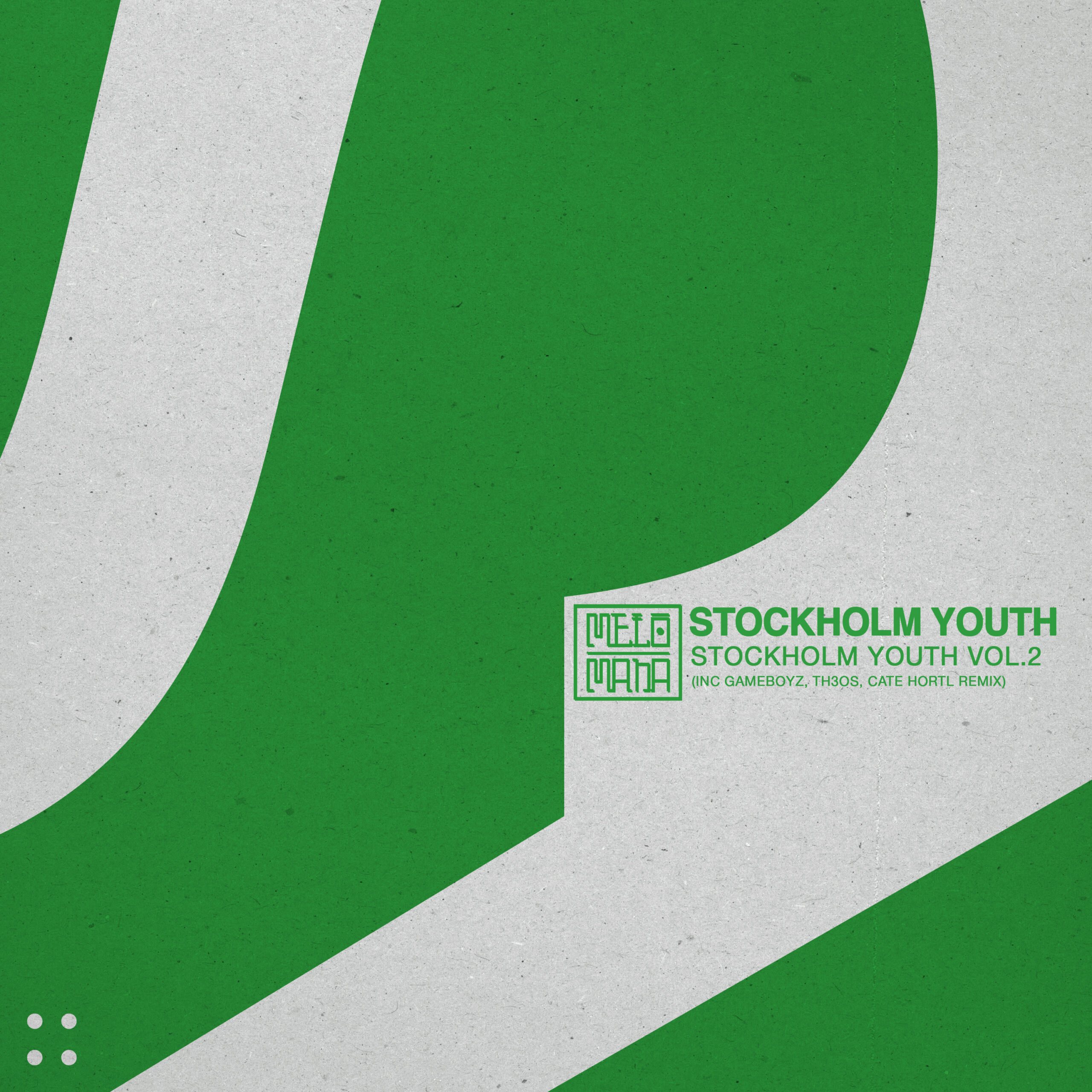 PREMIERE: Stockholm Youth - Fascinated (Cate Hortl Remix) [Melómana Records]